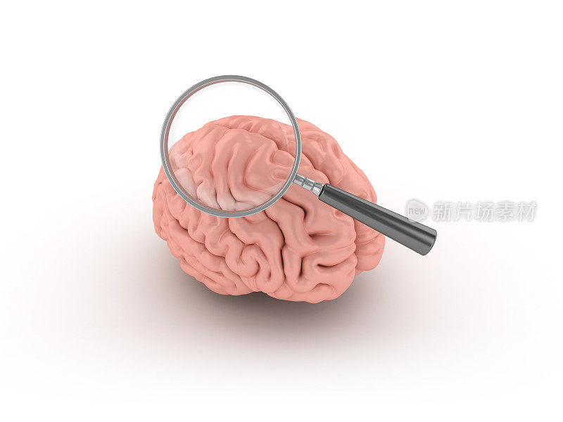 人脑与放大镜- 3D渲染